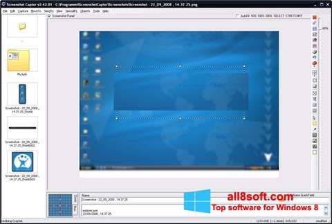 Screenshot ScreenShot untuk Windows 8