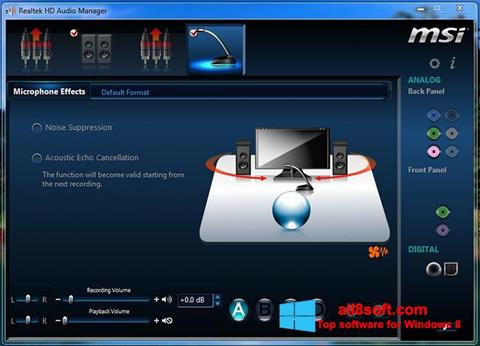 Screenshot Realtek Audio Driver untuk Windows 8