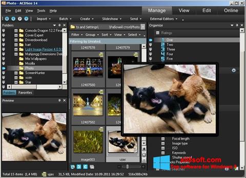 Screenshot ACDSee Photo Manager untuk Windows 8