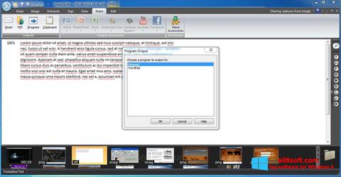 Screenshot Snagit untuk Windows 8