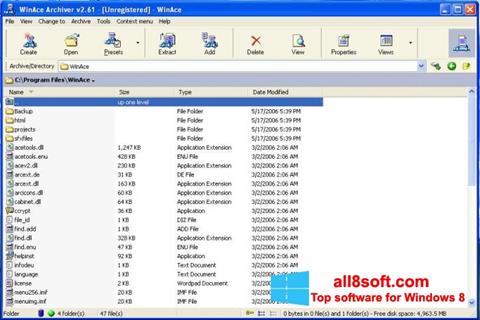 Screenshot WinAce untuk Windows 8