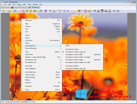 Screenshot XnView untuk Windows 8