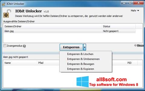 Screenshot IObit Unlocker untuk Windows 8