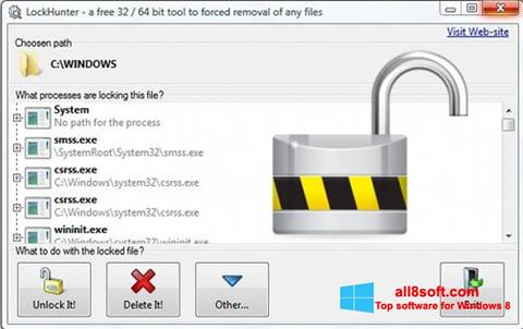 Screenshot LockHunter untuk Windows 8