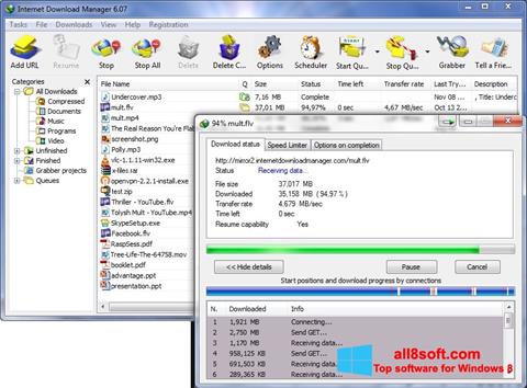 Screenshot Internet Download Manager untuk Windows 8