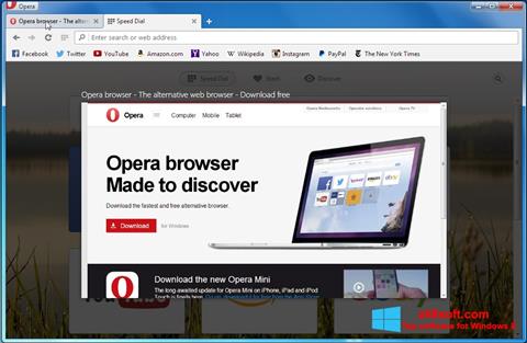 Screenshot Opera Developer untuk Windows 8
