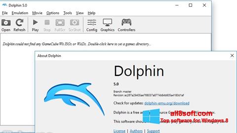 Screenshot Dolphin untuk Windows 8