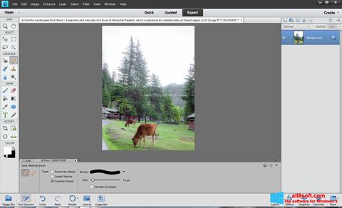 Screenshot Photoshop Elements untuk Windows 8