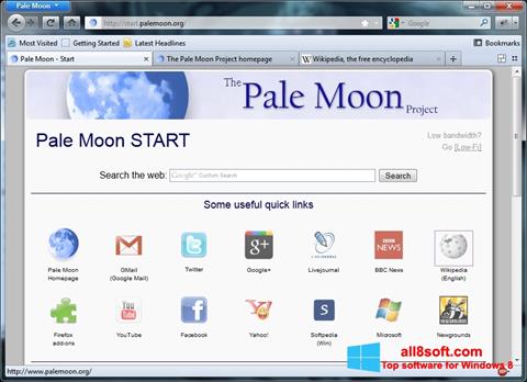 Screenshot Pale Moon untuk Windows 8