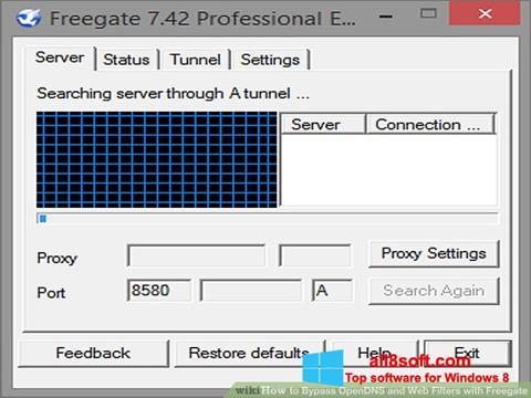 Screenshot Freegate untuk Windows 8