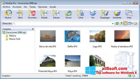 Screenshot WinZip untuk Windows 8