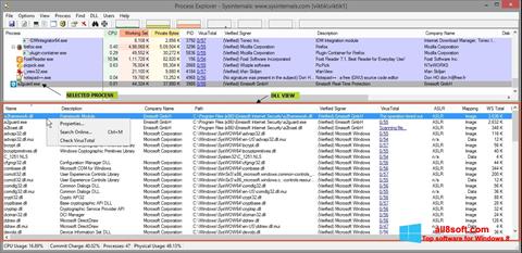 Screenshot Process Explorer untuk Windows 8