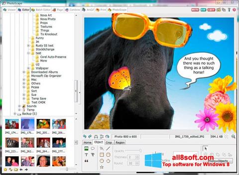 Screenshot PhotoScape untuk Windows 8