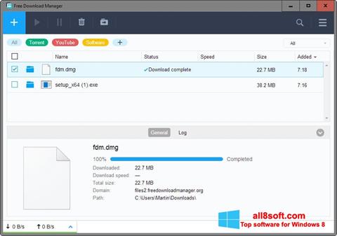 Screenshot Free Download Manager untuk Windows 8