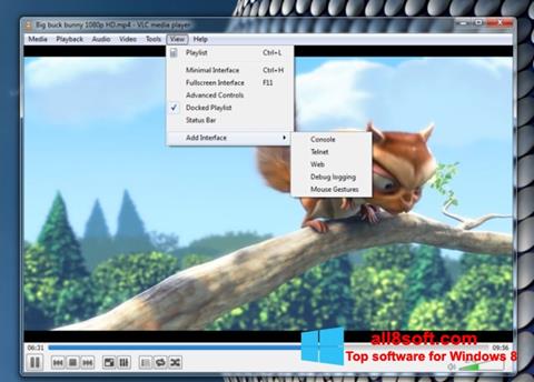 Screenshot VLC Media Player untuk Windows 8